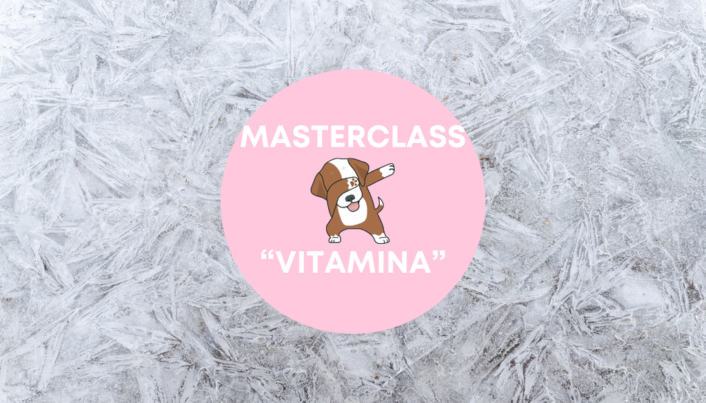 Masterclass: "VITAMINA"