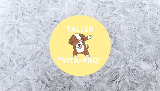 Taller: "VITA-PRO"