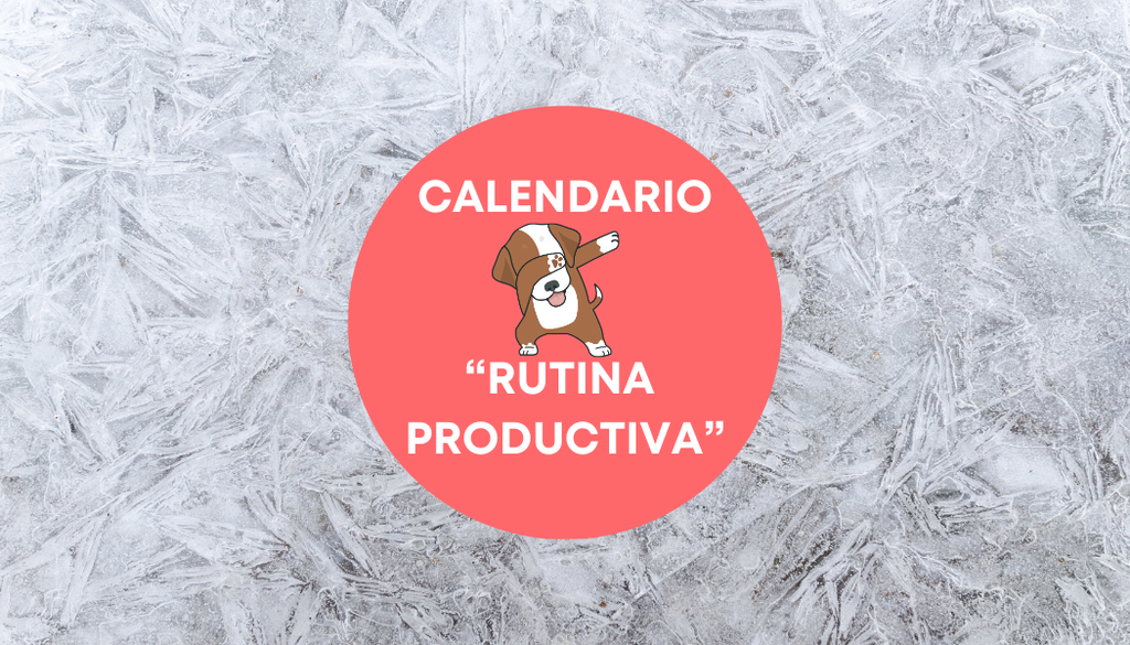 🗓️Calendario Especial fin de Año: RUTINA PRODUCTIVA CANINA