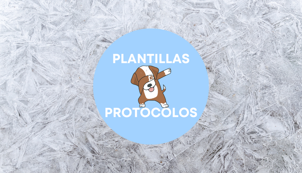 Plantillas: PROTOCOLOS