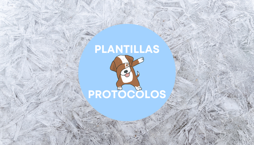 Plantillas: PROTOCOLOS